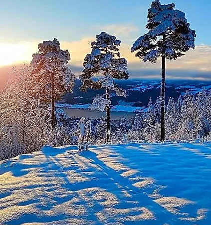 Usjenert Med Fantastisk Utsikt ホテル 3*