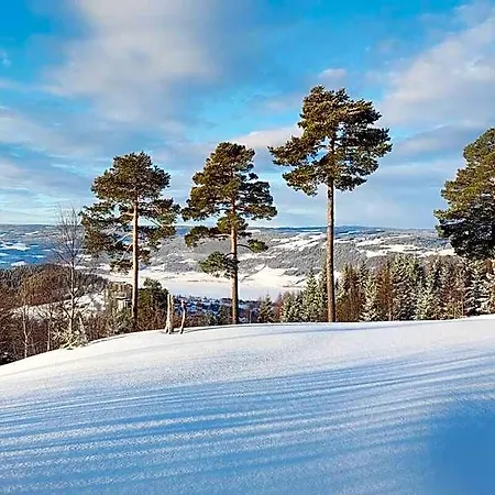 Usjenert Med Fantastisk Utsikt